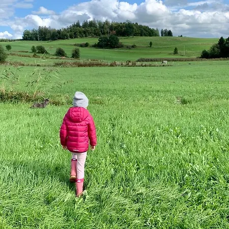 Ferienwohnungen Mama Elva Leutkirch im Allgau Exterior photo