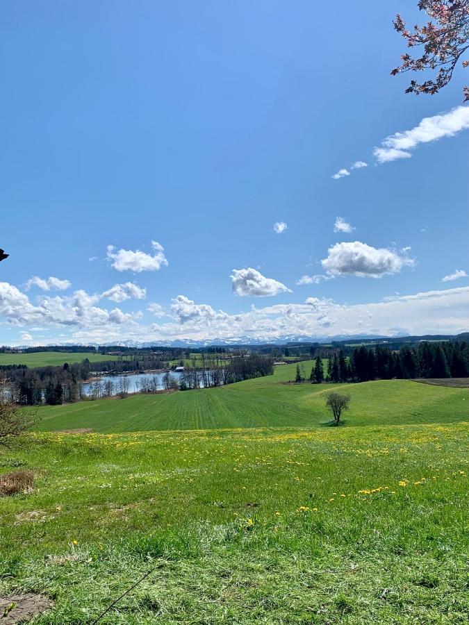 Mama Elva Leutkirch im Allgäu