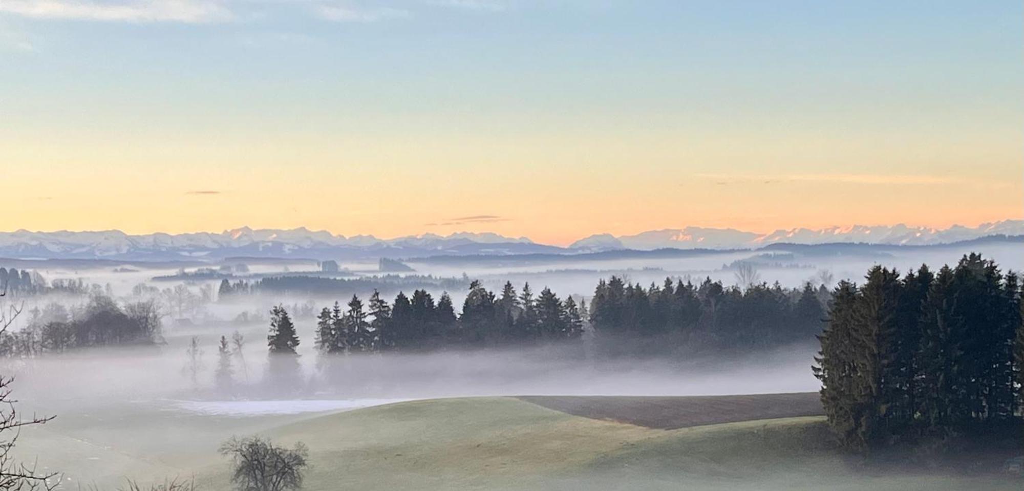 Mama Elva * Leutkirch im Allgäu